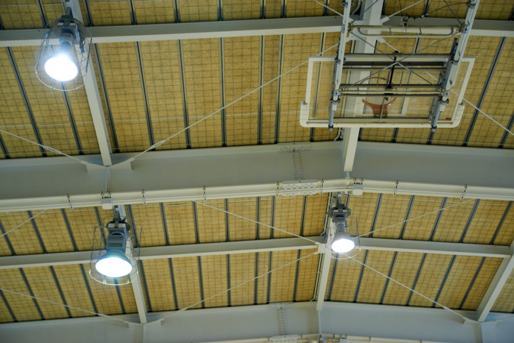 無電極ランプとLEDランプの違いについて